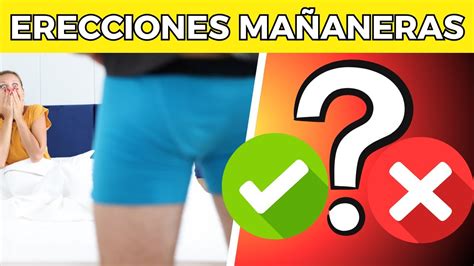 erecciones mañaneras|La importancia de las erecciones matutinas